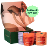 Brain Boost Gummies - The Flavor Sampler by Mojo | Mushroom Dosed Gummies