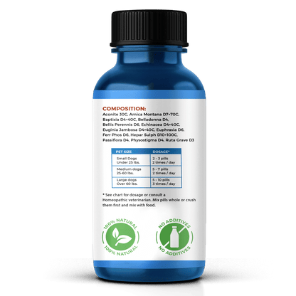 Natural Dog Eye Infection Treatment  - Helps Conjunctivitis, Watery Eyes, Red Eye, and General Eye Care by BestLife4Pets