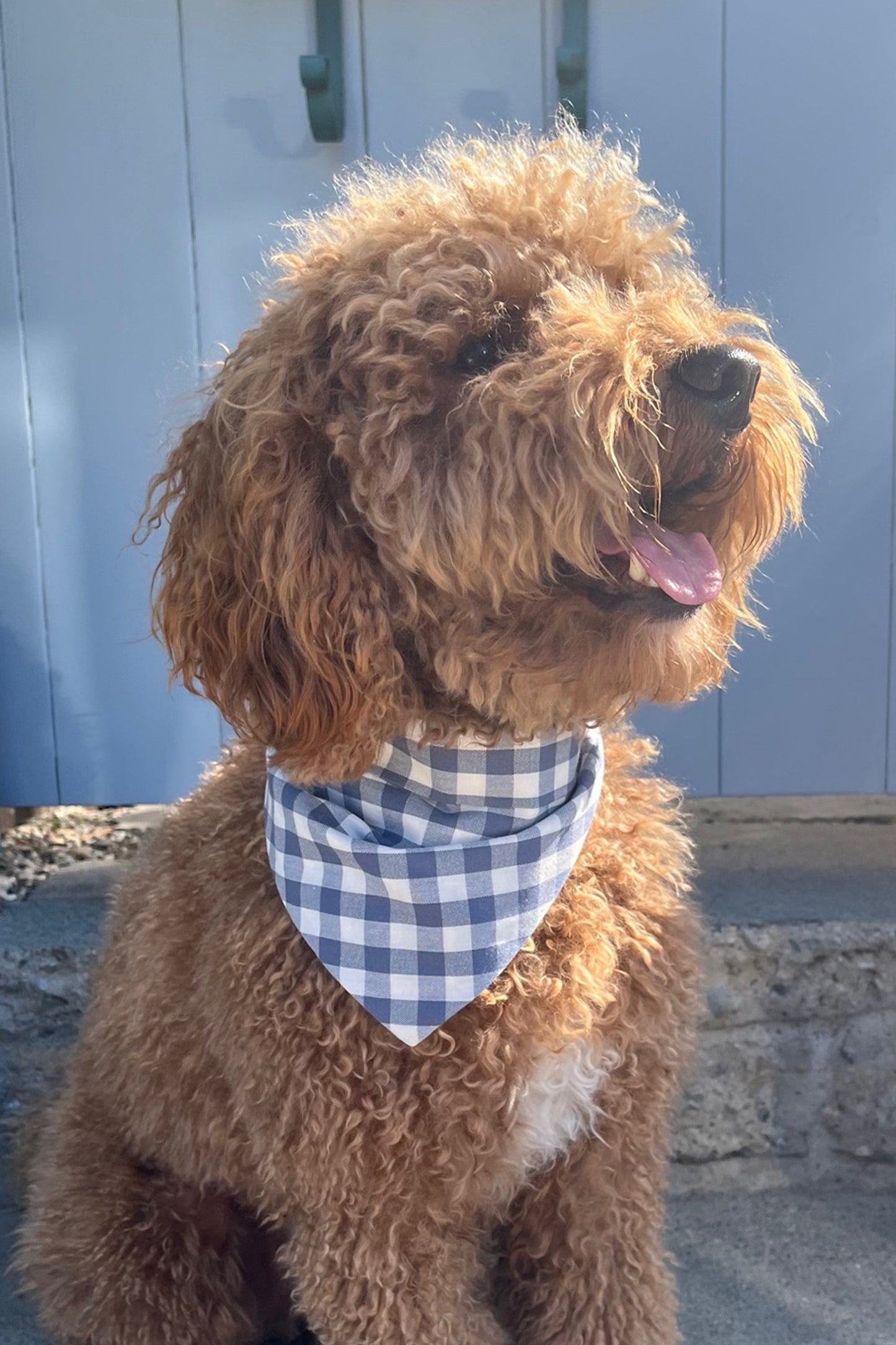 GINGHAM BANDANA by MODERNBEAST