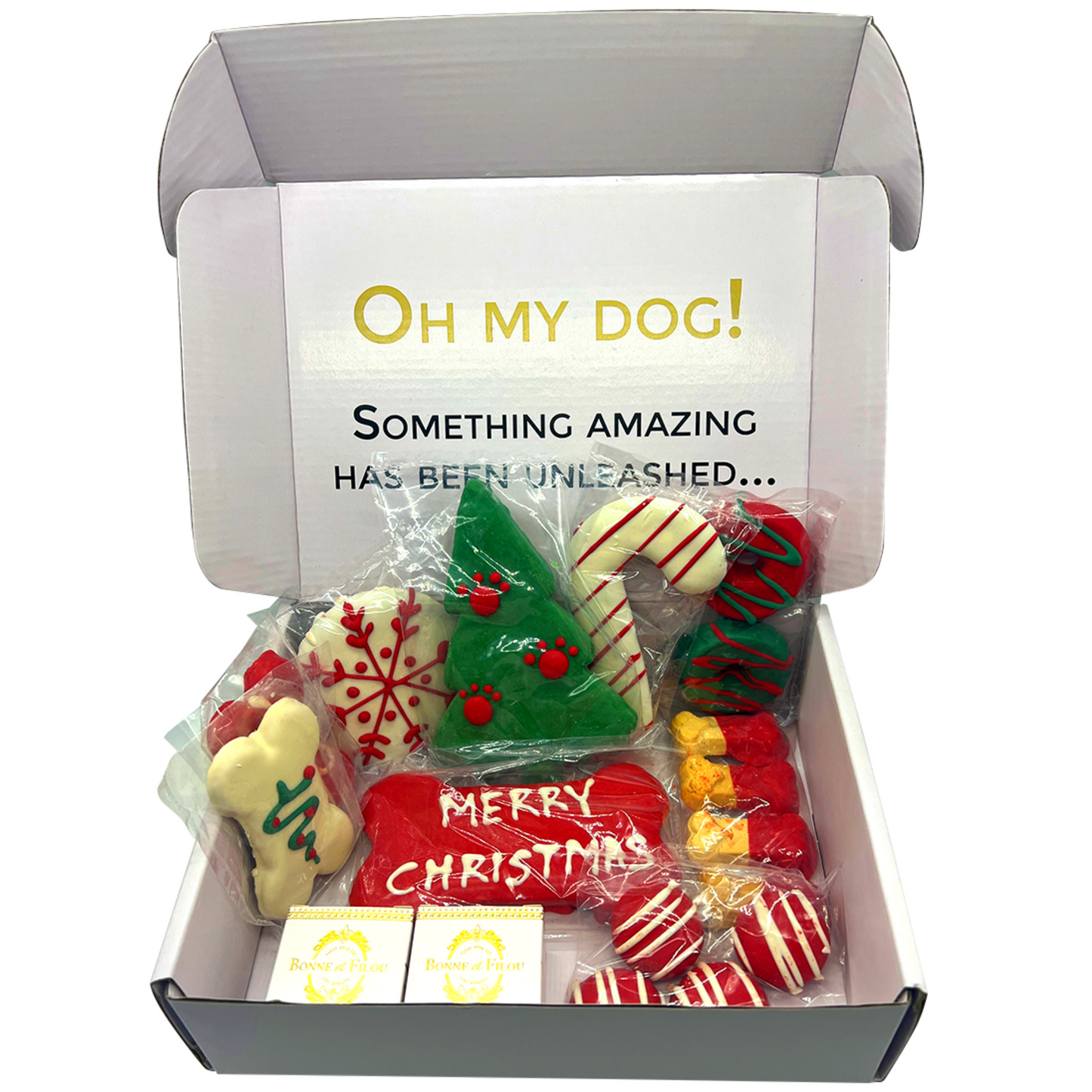 Christmas Dog Treats Gift Box