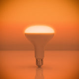 BR30 Circadian Lightbulb