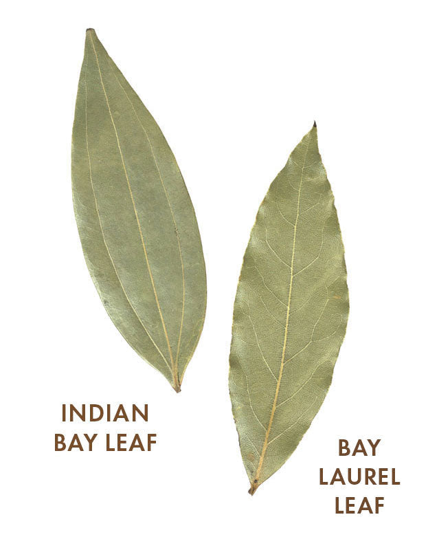 Indian Bay Leaf (Cassia/Tejapatta), Certified Organic