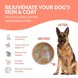 Healthy Skin & Coat for Dogs by BestLife4Pets
