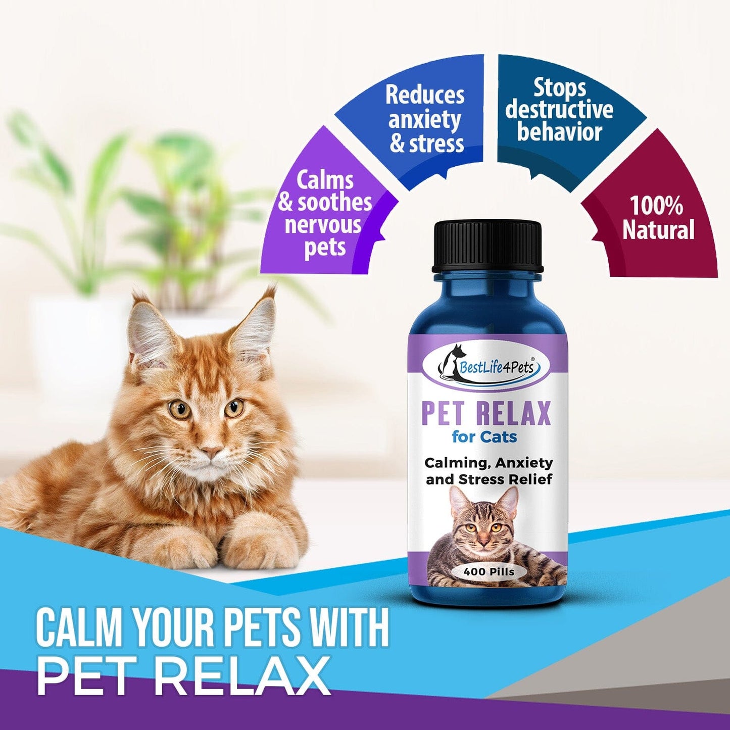 Pet Relax Anxiety and Stress Relief for Cats by BestLife4Pets