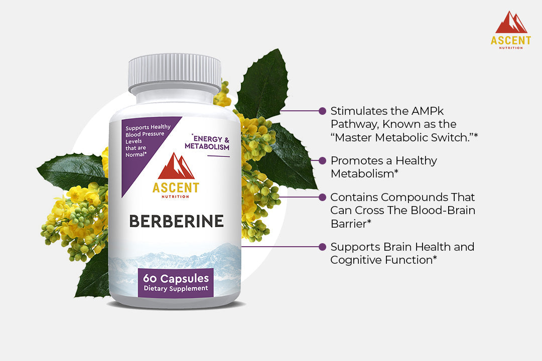 Berberine by Ascent Nutrition