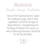 Bloodstone Energy Bracelet by Tiny Rituals