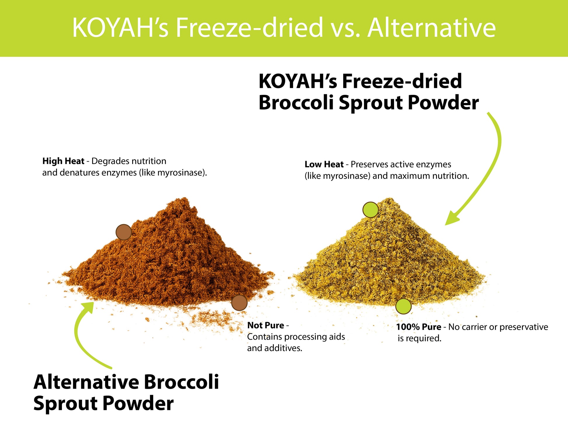 Organic Broccoli Sprout Powder