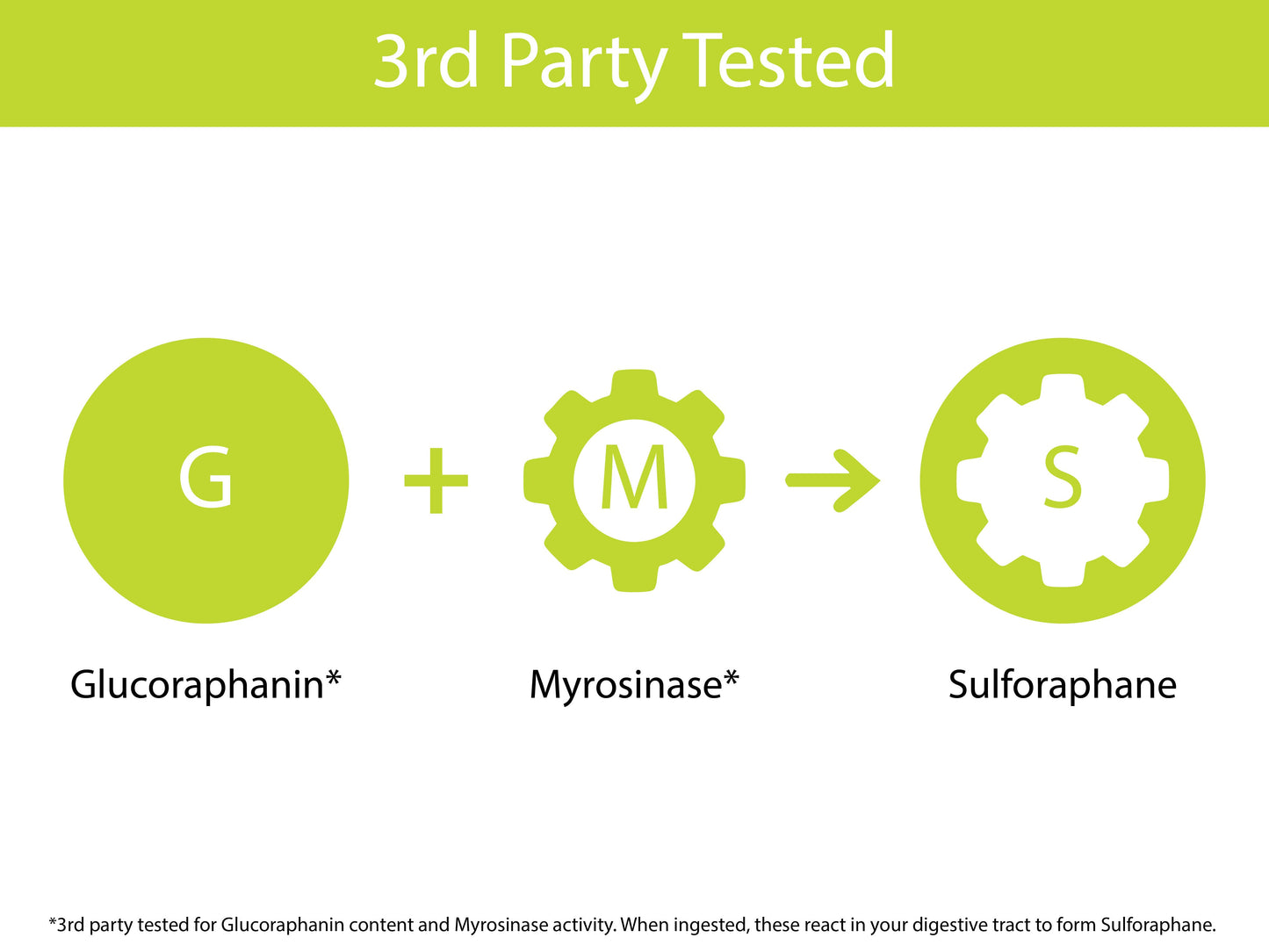Organic Broccoli Sprout Powder