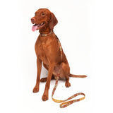 Seawoof Dog Leash Aztec Diamond Print