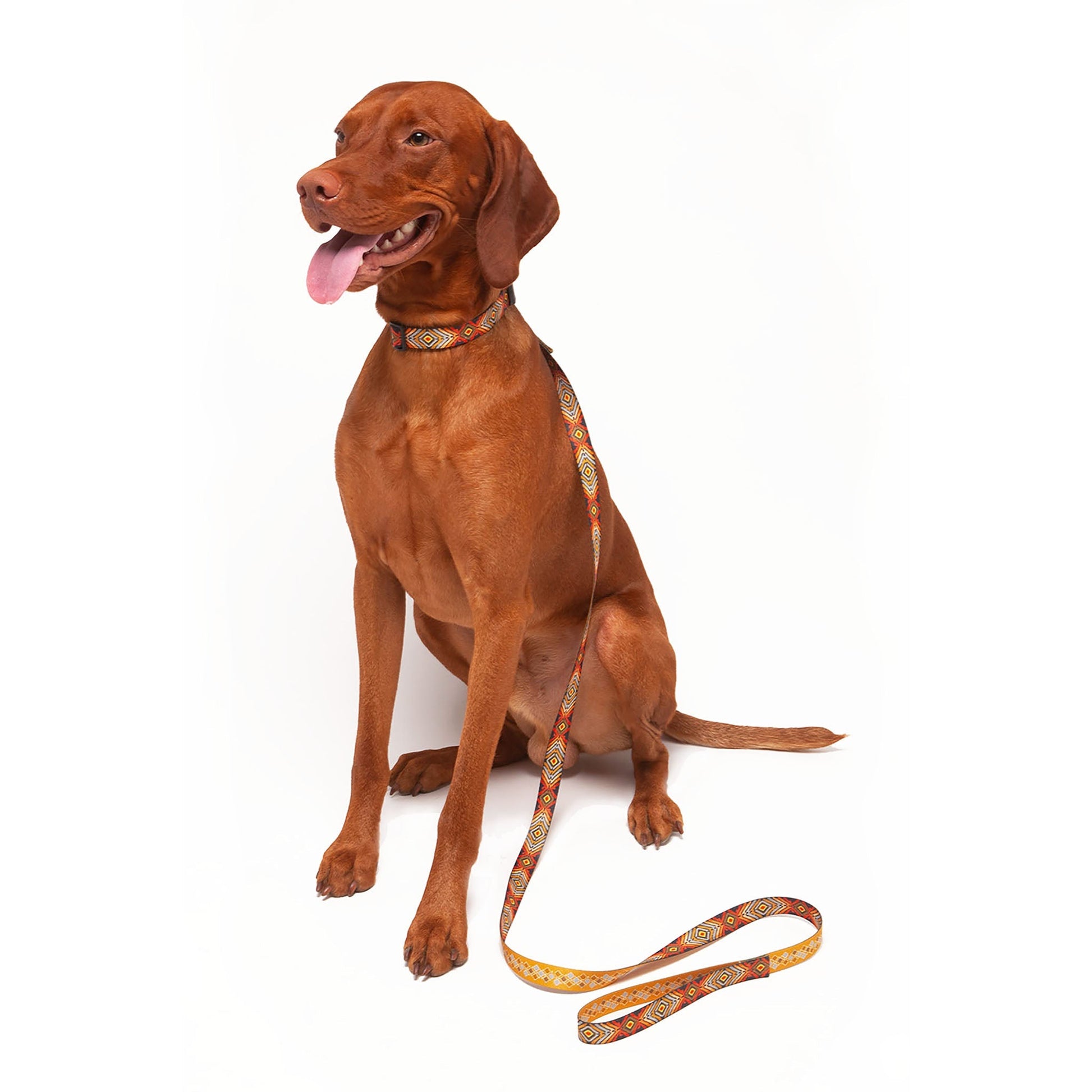 Seawoof Dog Leash Aztec Diamond Print