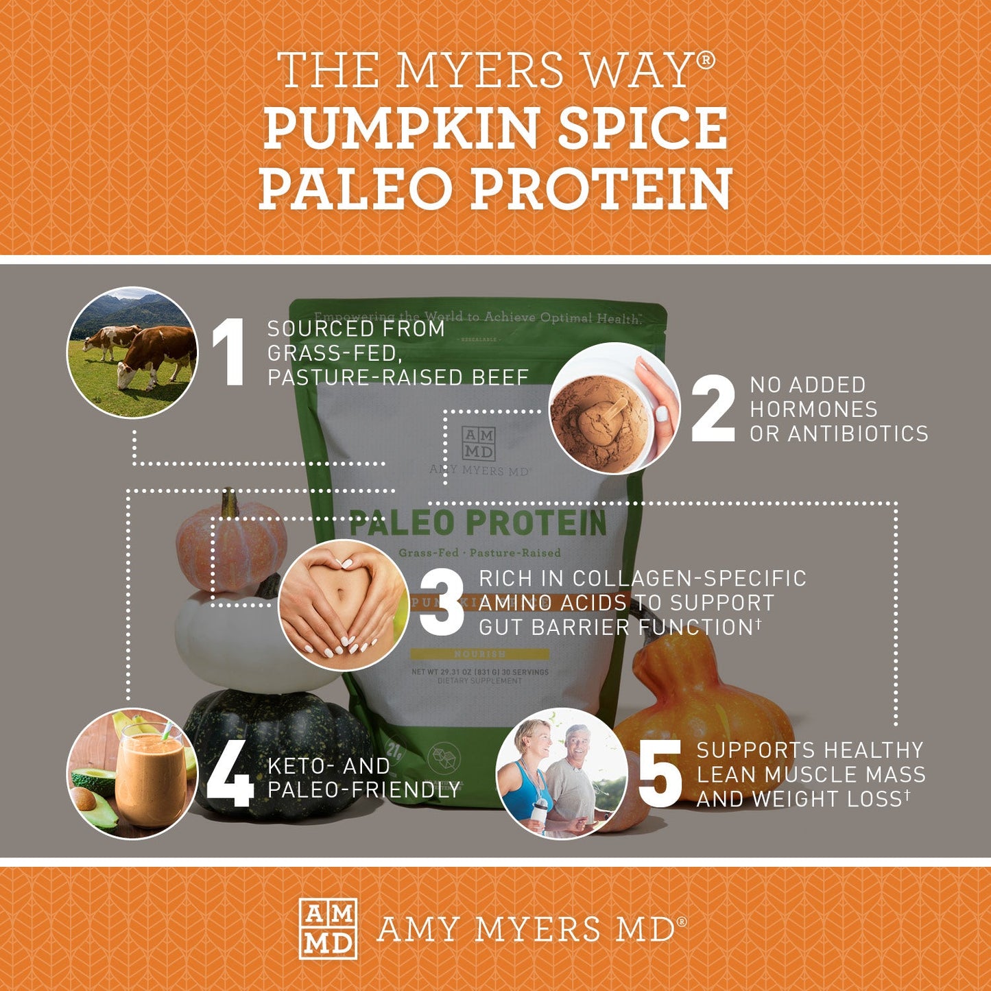 Paleo Protein - Pumpkin Spice by Amy Myers MD