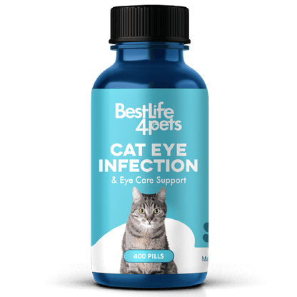 Cat Eye Infection, Eye Care & Vision Support by BestLife4Pets