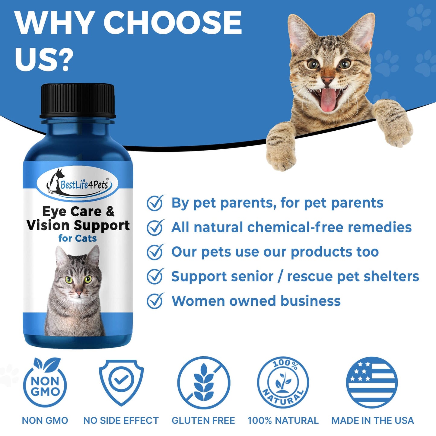 Cat Eye Infection, Eye Care & Vision Support by BestLife4Pets