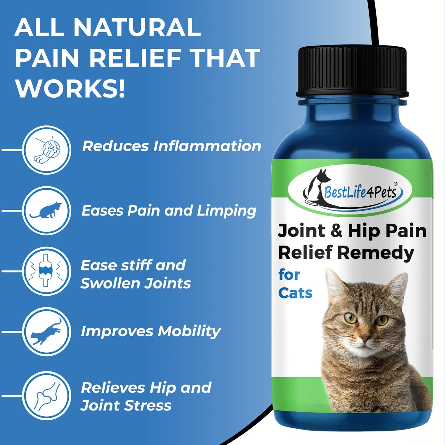 Cat Hip and Joint Pain Relief - Effective Anti-inflammatory and Arthritis Pain Medicine by BestLife4Pets