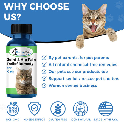 Cat Hip and Joint Pain Relief - Effective Anti-inflammatory and Arthritis Pain Medicine by BestLife4Pets