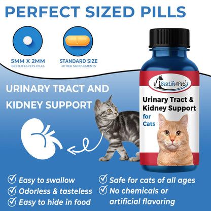 Natural Cat UTI & Kidney Remedy - Reduces Infections and Supports Optimal Bladder Function by BestLife4Pets