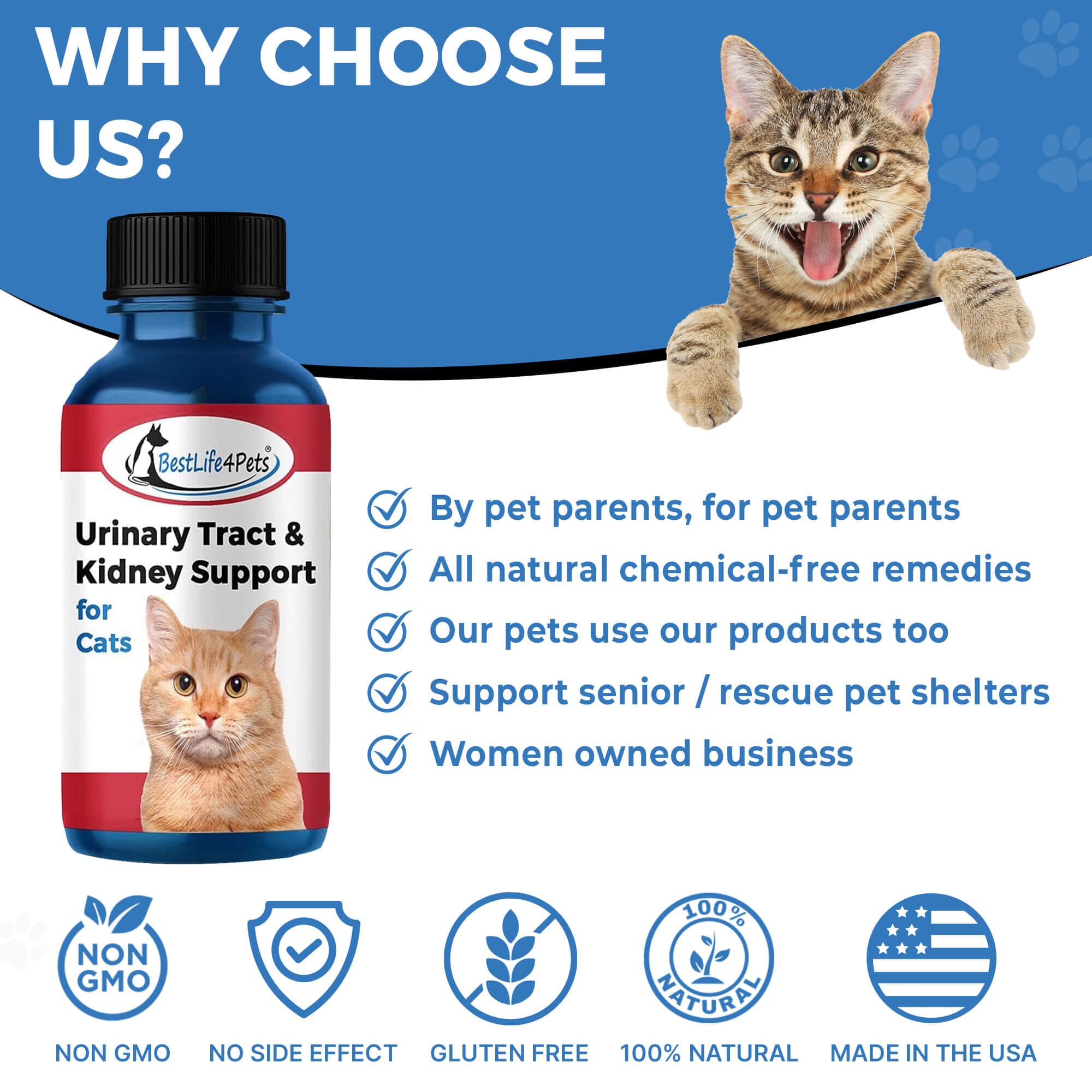 Cat uti remedies best sale