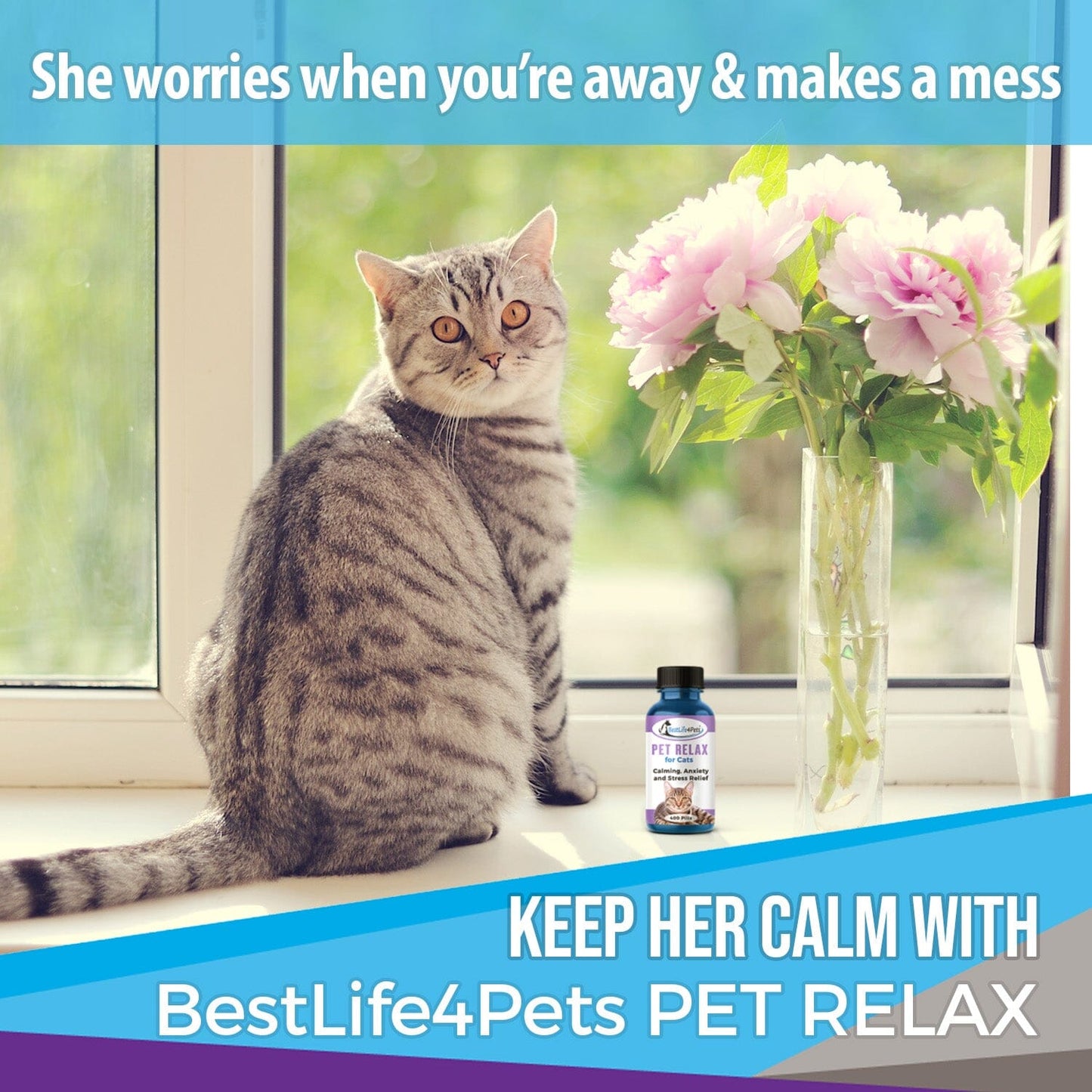 Pet Relax Anxiety and Stress Relief for Cats by BestLife4Pets