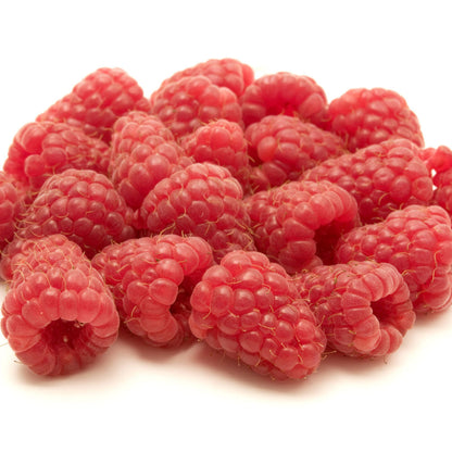 Red Raspberry 'Coho' | Fruit Shrub by Growing Home Farms