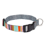 Seawoof Dog Collar Multicolor Stripe Print