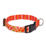 Seawoof Dog Leash Pink Paints Print