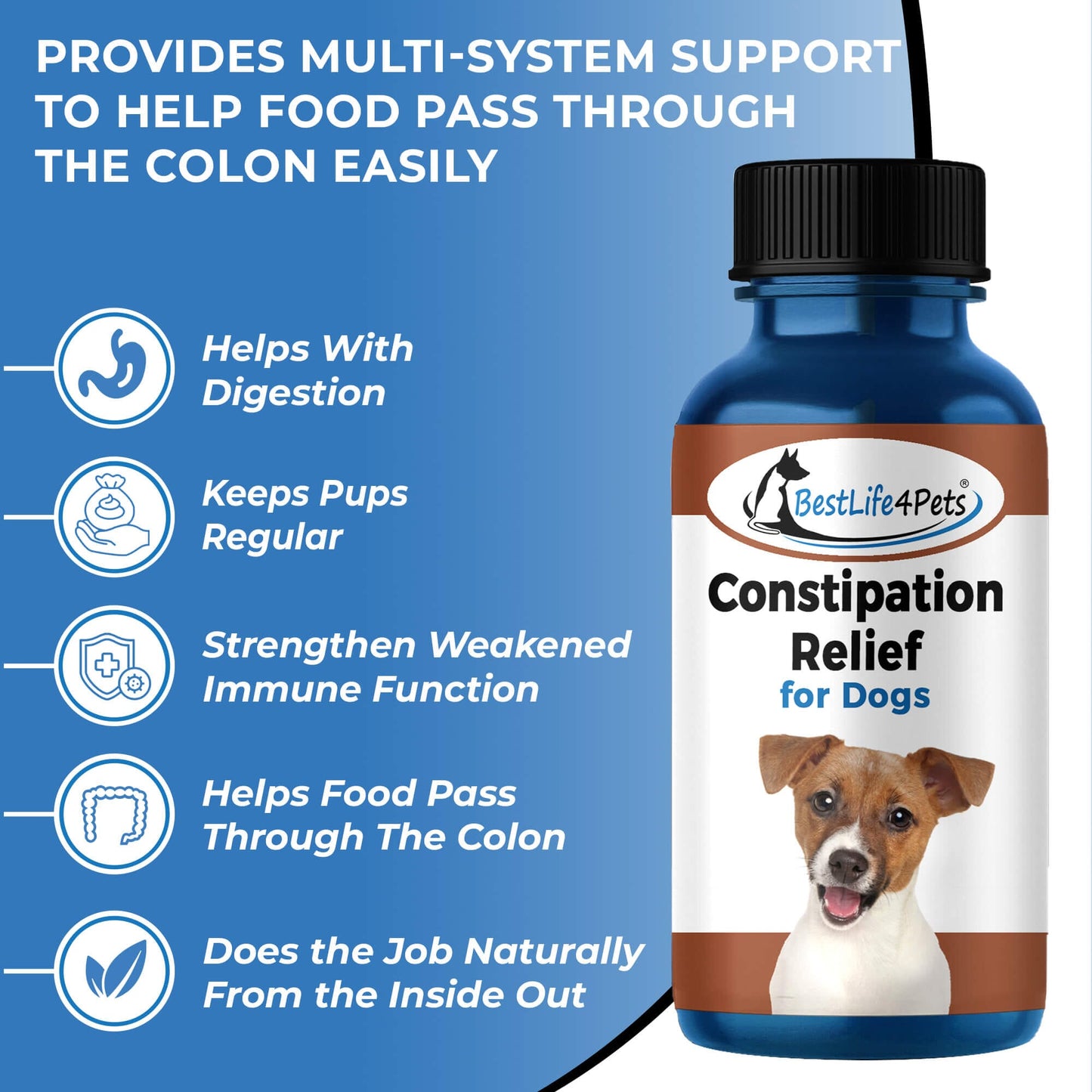 Natural Dog Laxative & Constipation Treatment by BestLife4Pets