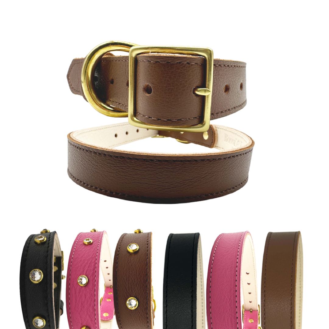 Plain Leather Dog Collar