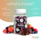 Super Pack + Disco Bundle - Lion's Mane, Super Troop, Reishi by Troop