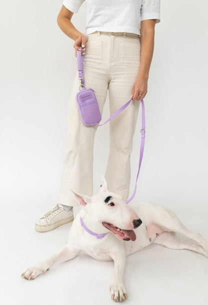 Walk Bag + Dog Leash