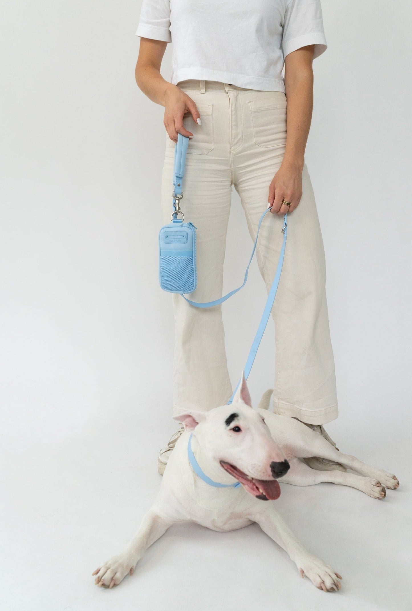 Walk Bag + Small Dog Leash