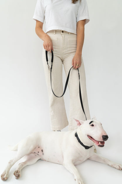 Small Dog Leash