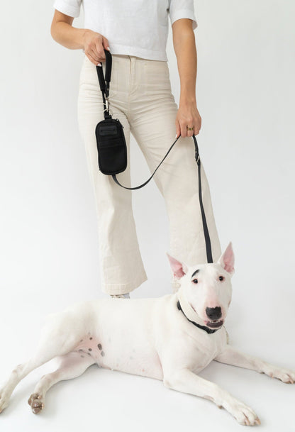 Walk Bag + Dog Leash