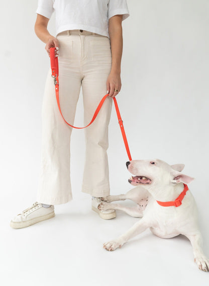 Dog Leash