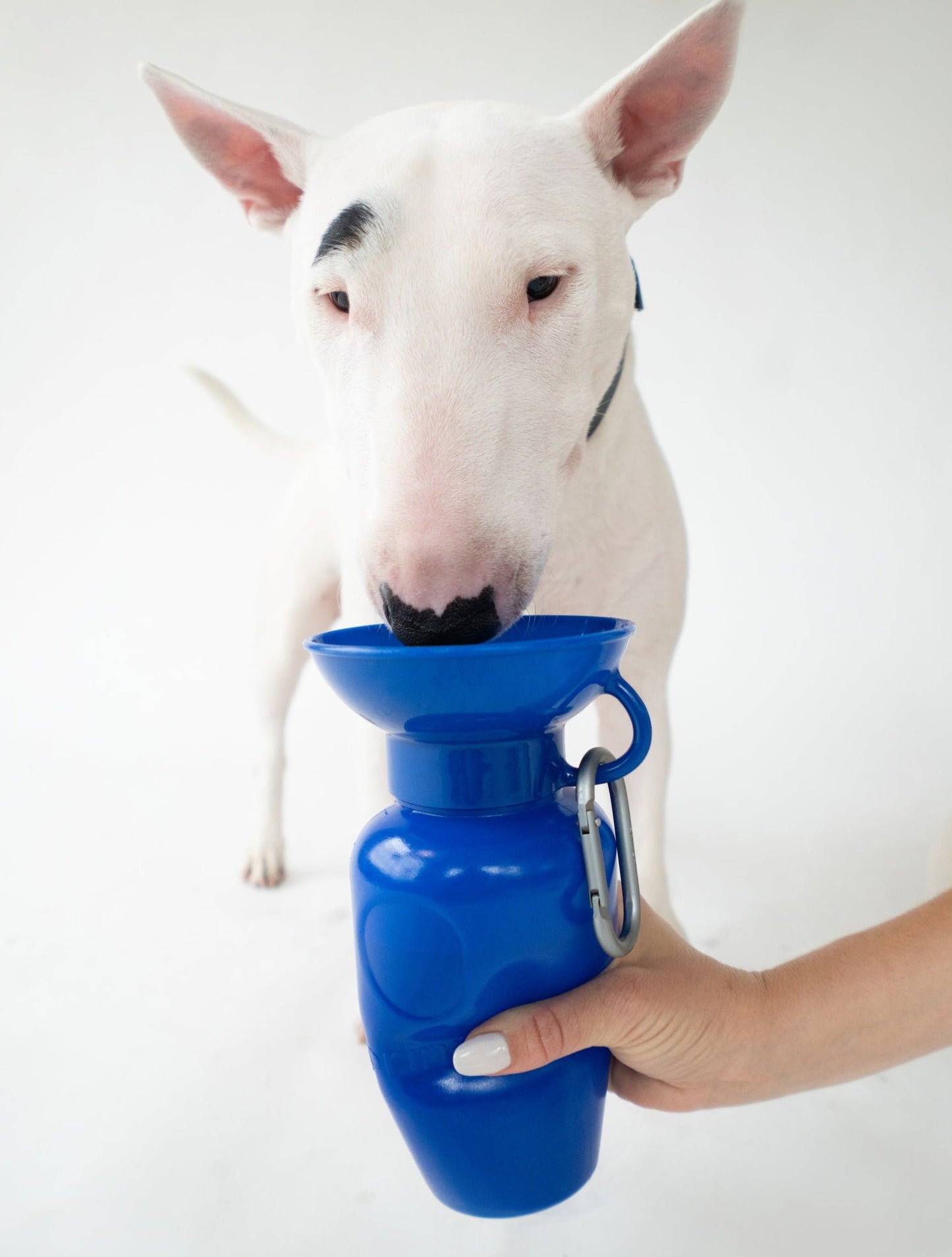 Classic Dog Travel Bottle