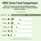 Avocado Tea Party With Five Blends by Avocado Tea Co.