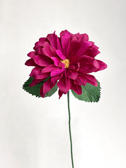 Dahlia Single Bloom