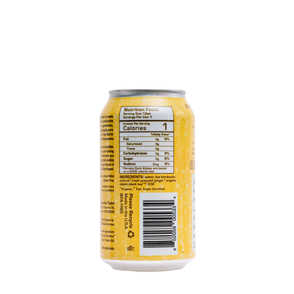 Ginger Energy Live Seltzer (case of 12) by KombuchaTown