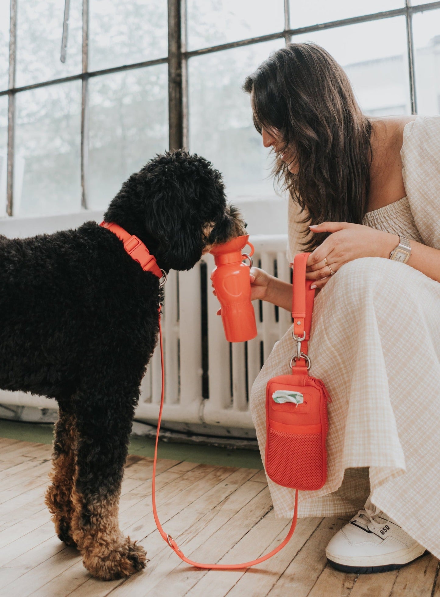 Walk Bag + Dog Leash