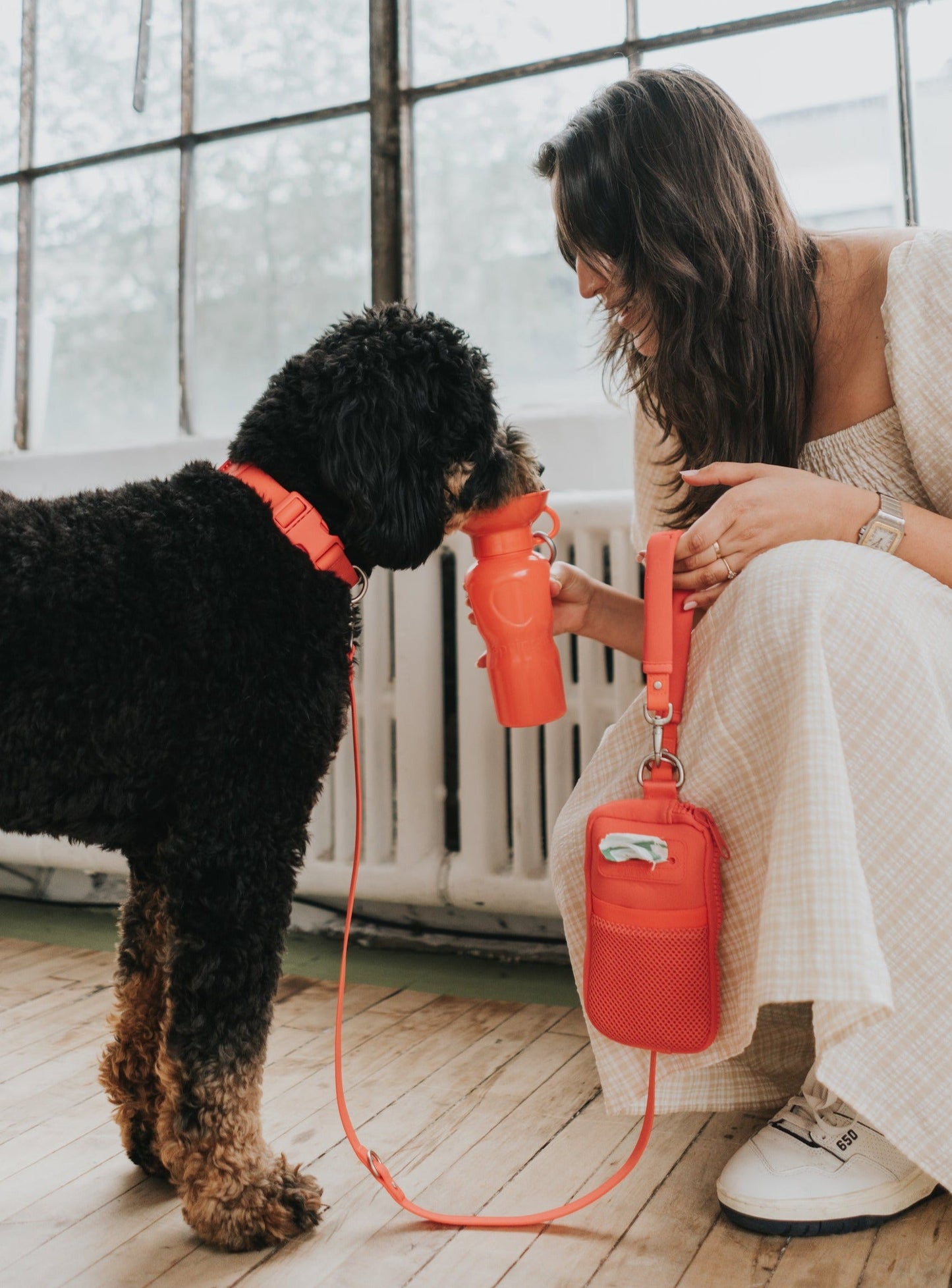 Walk Bag + Small Dog Leash