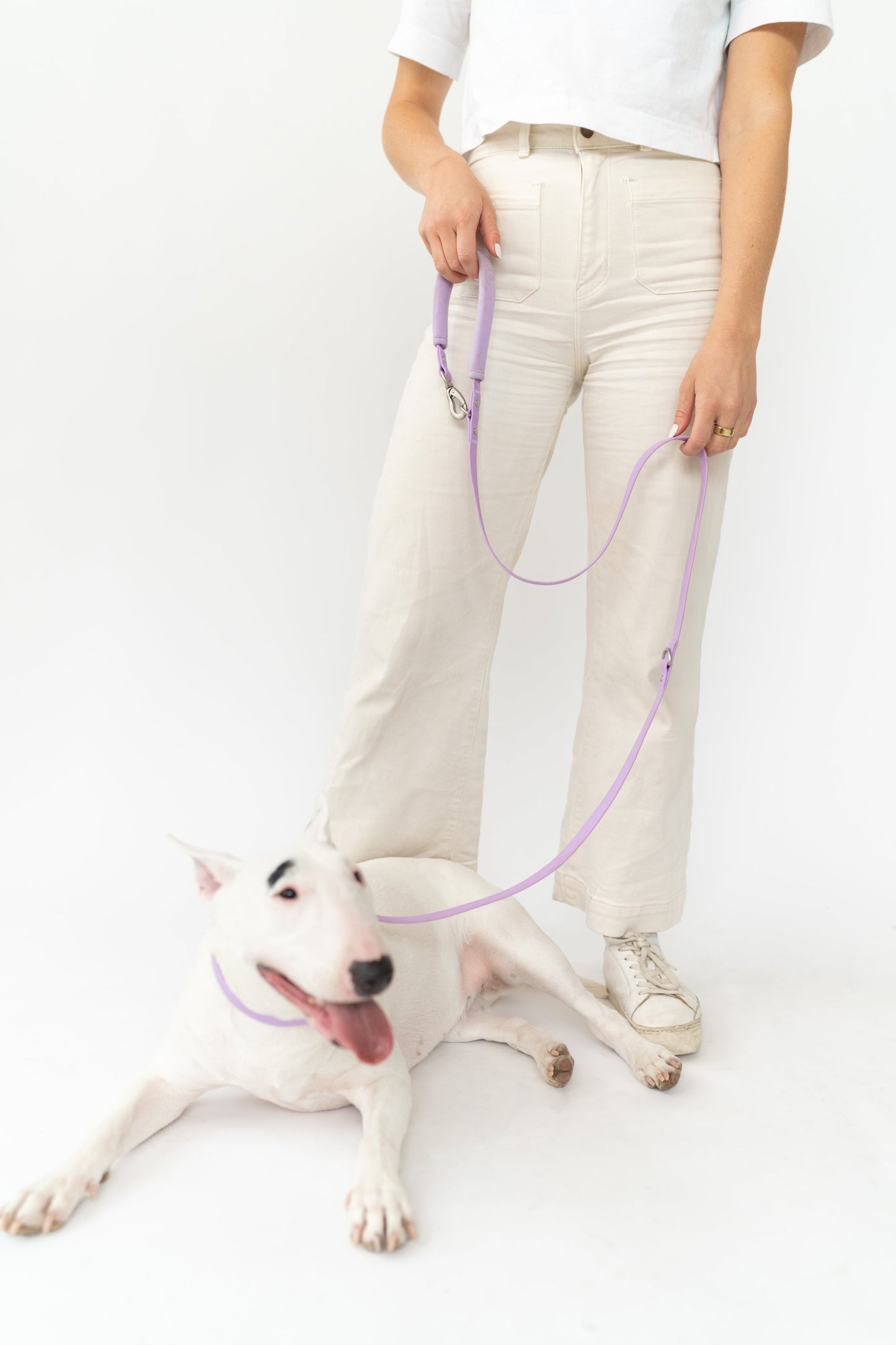 Small Dog Leash