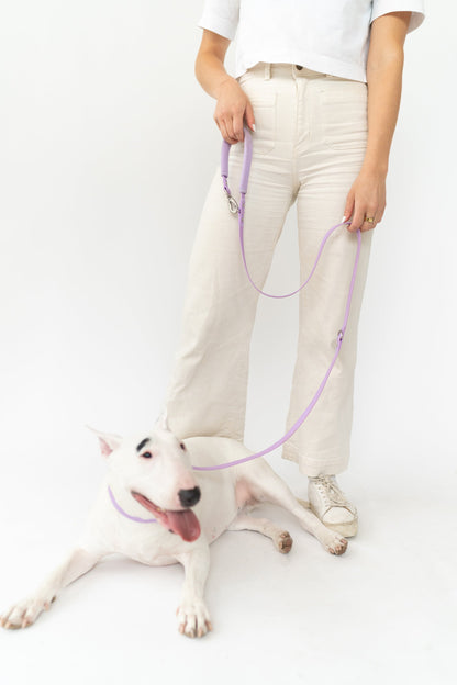 Small Dog Leash