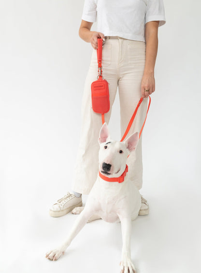 Walk Bag + Dog Leash