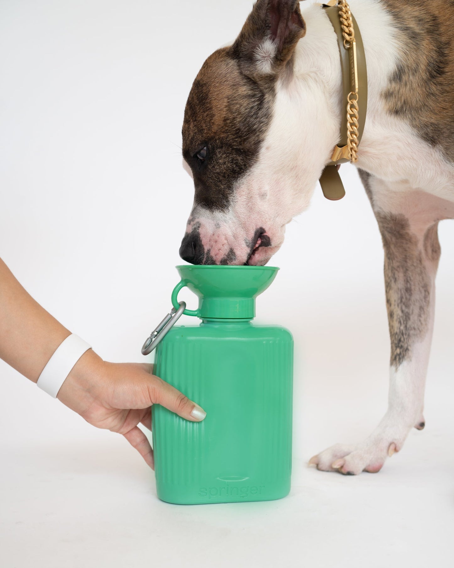 Growler Dog Travel Bottle