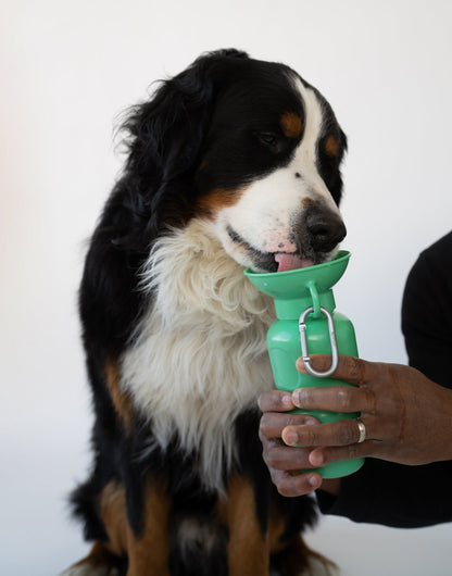 Classic Dog Travel Bottle