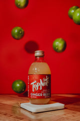 Ginger Beer by Top Note Tonic Store