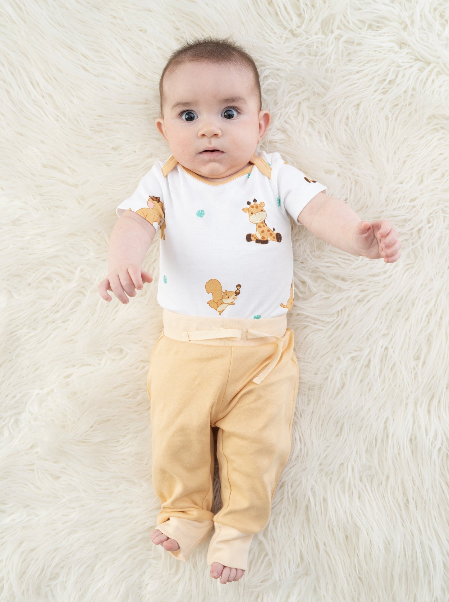 Organic Cotton Joy Bodysuit - The Animal Kingdom by Little Moy