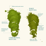 Organic Daily Grade Matcha - Perfect for Mixed Matcha Drinks