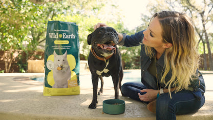 Maintenance Formula Dog Food by Wild Earth