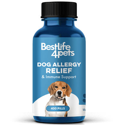 Dog Allergy & Immune Support Supplement by BestLife4Pets