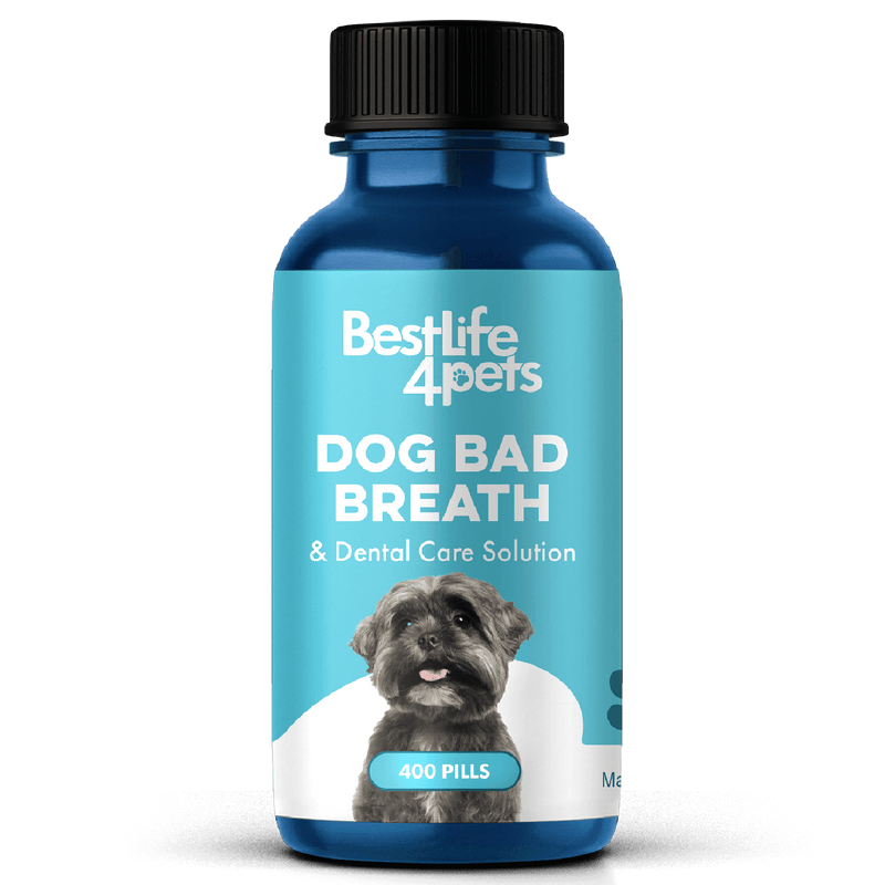 Dog Bad Breath & Dental Care Solution - Natural Remedy for Canine Oral Health by BestLife4Pets